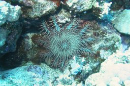 20011008_1_Abu_Kafan_0040